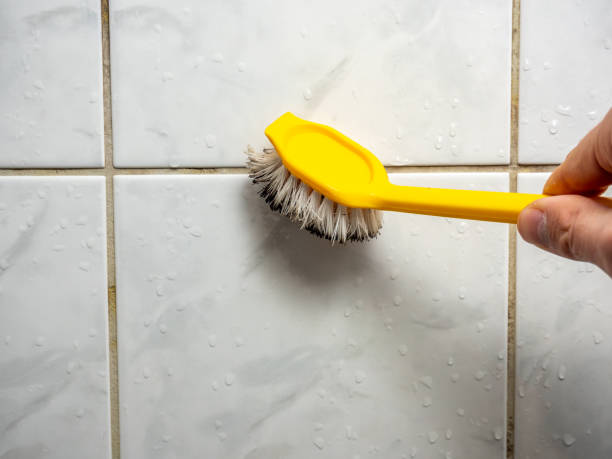Best Black Mold Removal  in Port Ludlow, WA