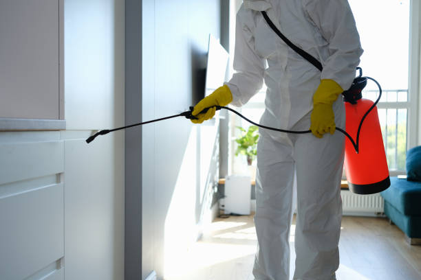 Best Home Mold Removal  in Port Ludlow, WA